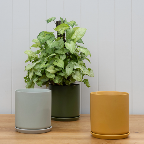 Cover Pots &amp; Planters