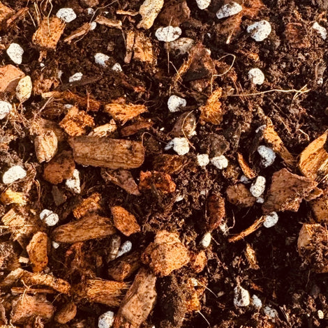Growing Substrates &amp; Medium