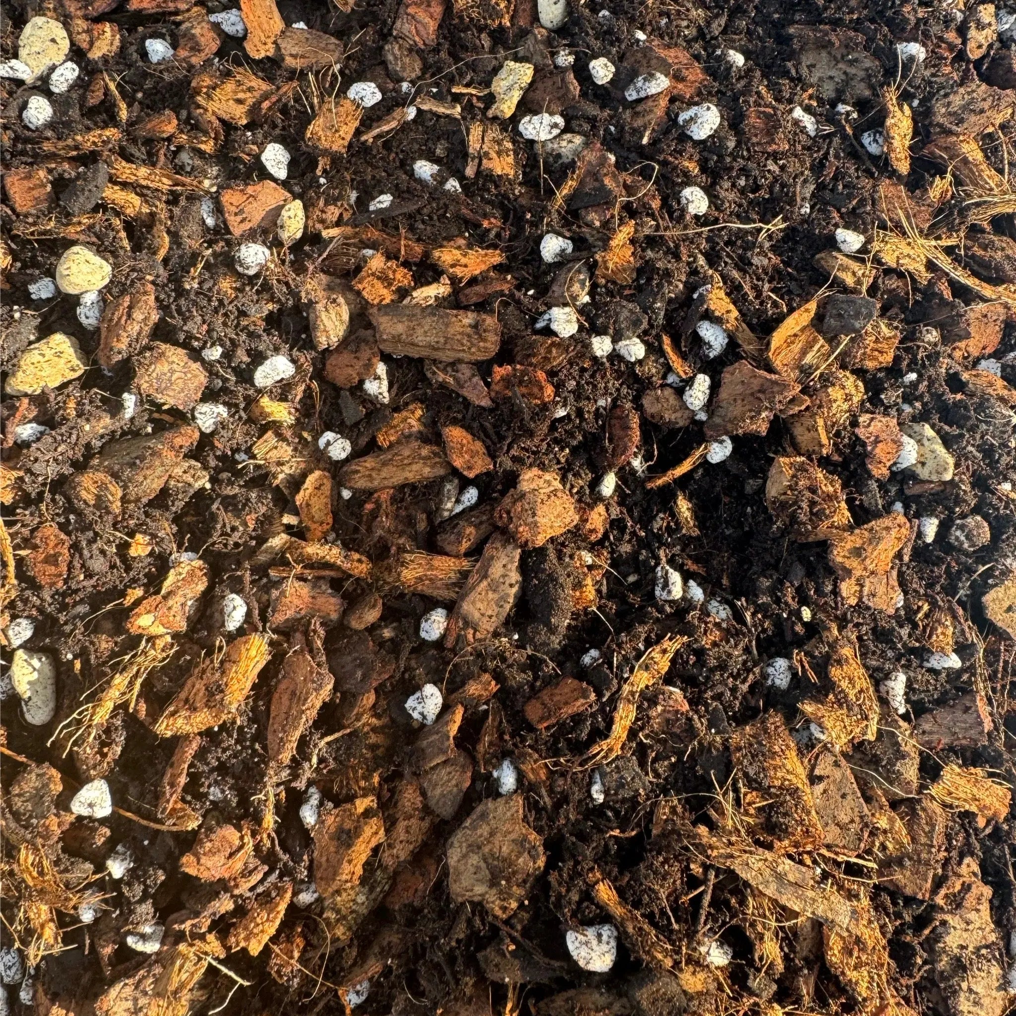 Chunky Plant Mix 2L Plant Perfect Waiheke Island