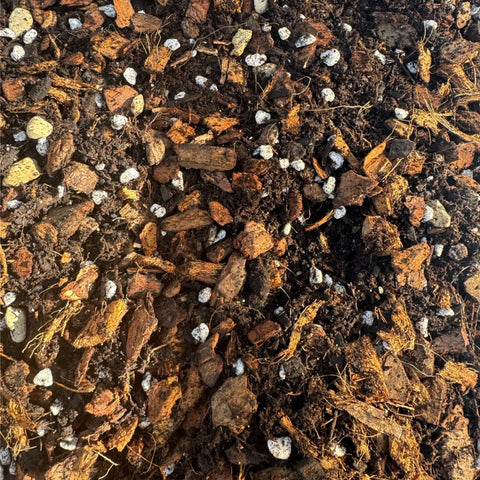 Chunky Plant Mix 2L Plant Perfect Waiheke Island