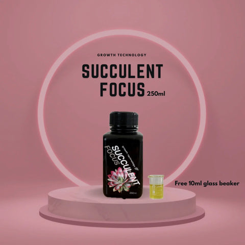 Growth Technology - Succulent Focus Plant Perfect Waiheke Island