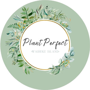 Plant Perfect Waiheke Island