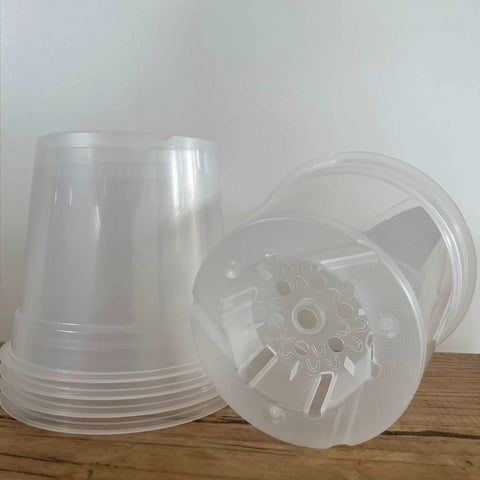 15cm Clear Pot - x5 Nursery Supplies