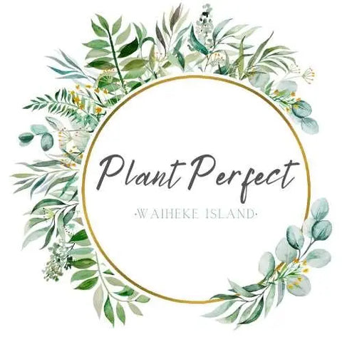 Gift Voucher Plant Perfect Waiheke Island