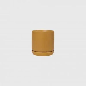Oslo Planter Small Potted